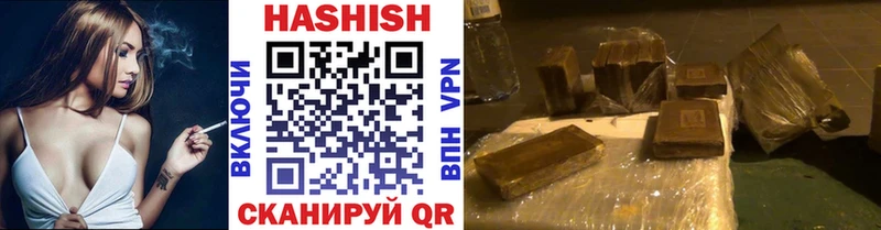 ГАШ Premium Ельня