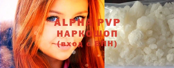 прущие грибы Верея