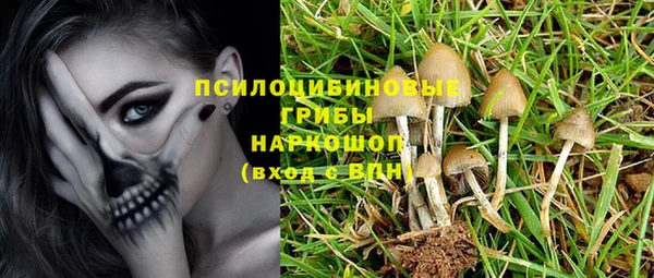 mix Горняк
