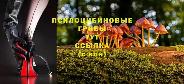 не бодяженный Вяземский