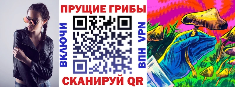 Галлюциногенные грибы MAGIC MUSHROOMS  купить  цена  Ельня 